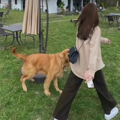逆风追爱